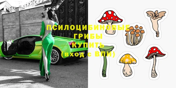 герыч Дмитриев