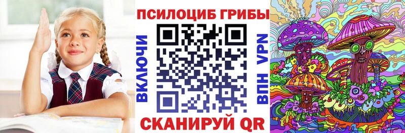 Купить  Валуйки  Псилоцибиновые грибы MAGIC MUSHROOMS 
